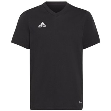 adidas T-ShirtsEntrada 22 T-Shirt schwarz