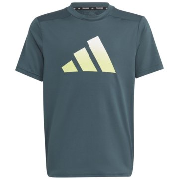 adidas T-ShirtsTrain Icons AEROREADY Logo T-Shirt türkis