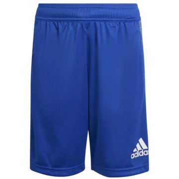 adidas sportswear Kurze SporthosenAEROREADY Heather Shorts blau
