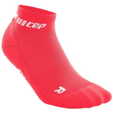 CEP Hohe SockenThe Run Compression Low Cut Socks Women pink