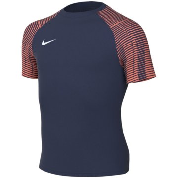 Nike FußballtrikotsDri-FIT Academy blau