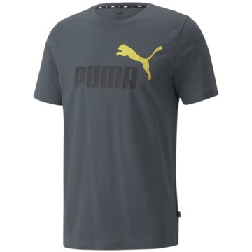Puma T-ShirtsEss+ 2 Col Logo Tee grau