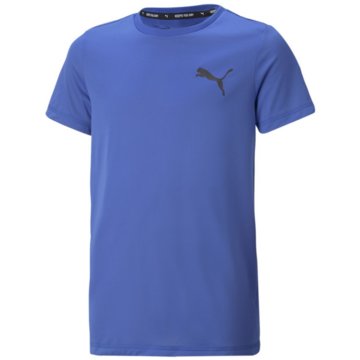 Puma T-ShirtsActive  Small Logo Tee B blau