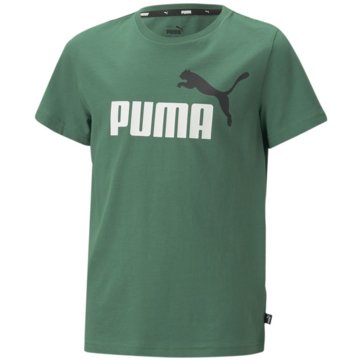 Puma T-ShirtsEss+ 2 Col Logo Tee B grün