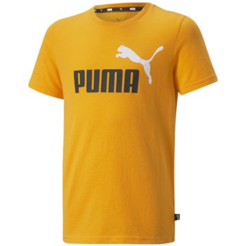 Puma T-ShirtsEss+ 2 Col Logo Tee B orange