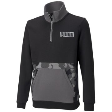Puma SweatshirtsAlpha Quarter-Zip TR B schwarz