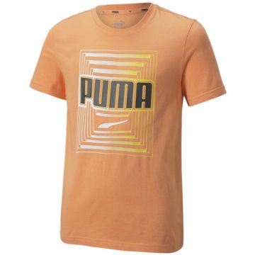 Puma T-ShirtsAlpha Graphic Tee B orange