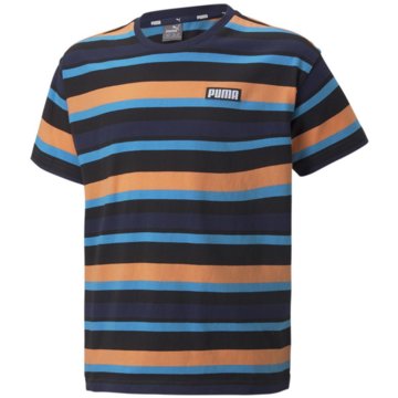 Puma T-ShirtsAlpha Striped Tee B blau