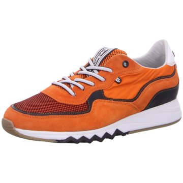 Floris van Bommel Sneaker Low orange
