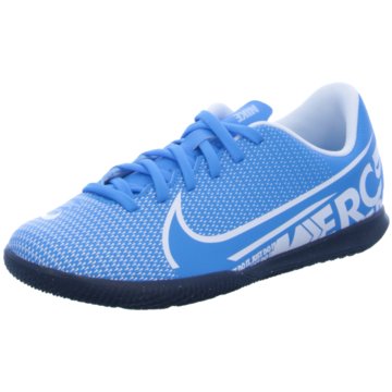 Nike Hallen-Sohle blau
