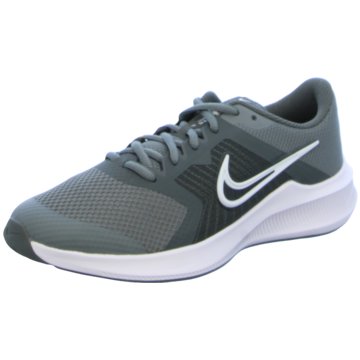 Nike RunningDOWNSHIFTER 11 - CZ3949-012 grau