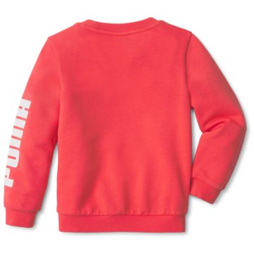 Puma SweatshirtsLIL  CREW TR - 589250 pink